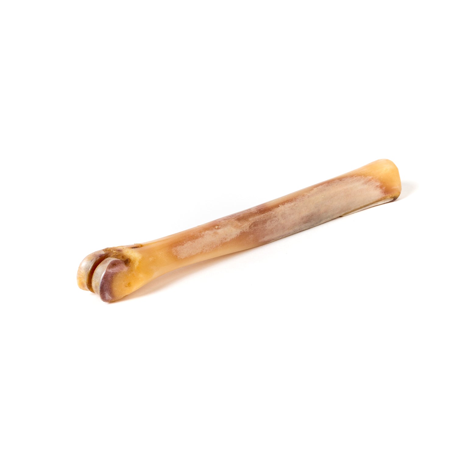 Abbeyhorn x Turms: Polierknochen "Shoebone" aus Naturhorn - Handarbeit